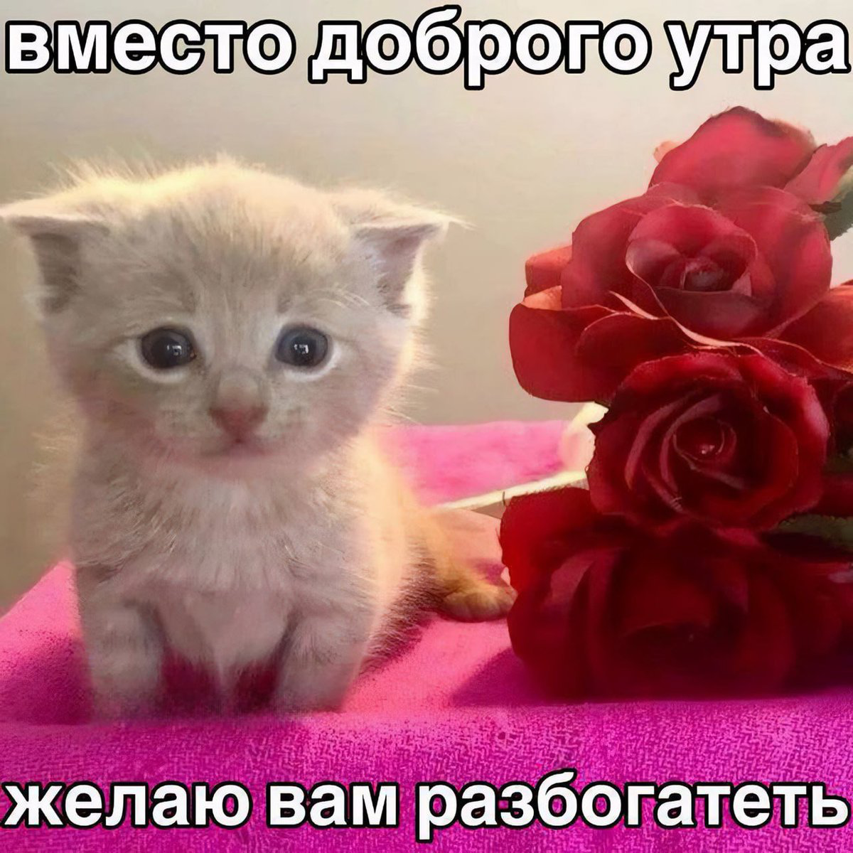 ☀️ | Сетка — социальная сеть от hh.ru