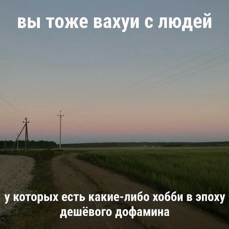 Сетка — социальная сеть от hh.ru