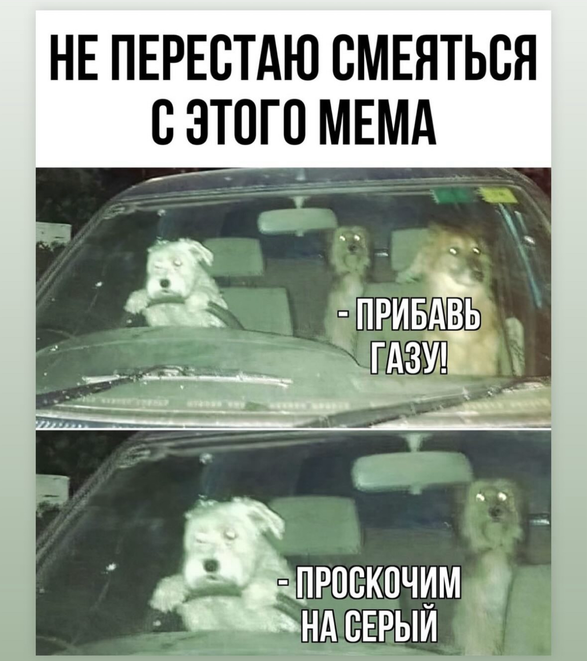 Мемы 1 | Сетка — социальная сеть от hh.ru