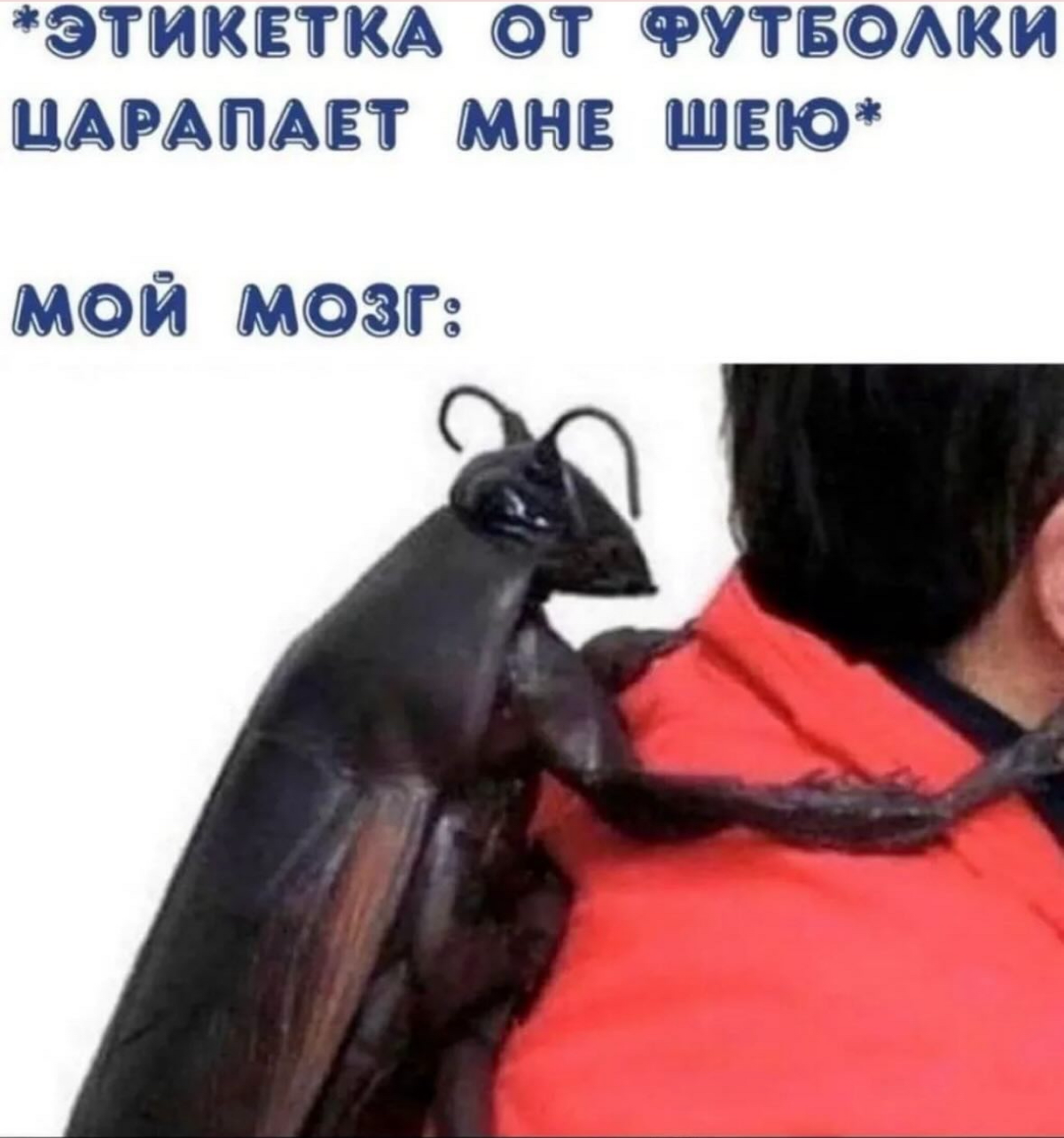 Мемы 2 | Сетка — социальная сеть от hh.ru