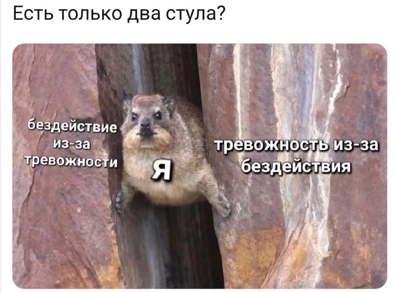Сетка — социальная сеть от hh.ru