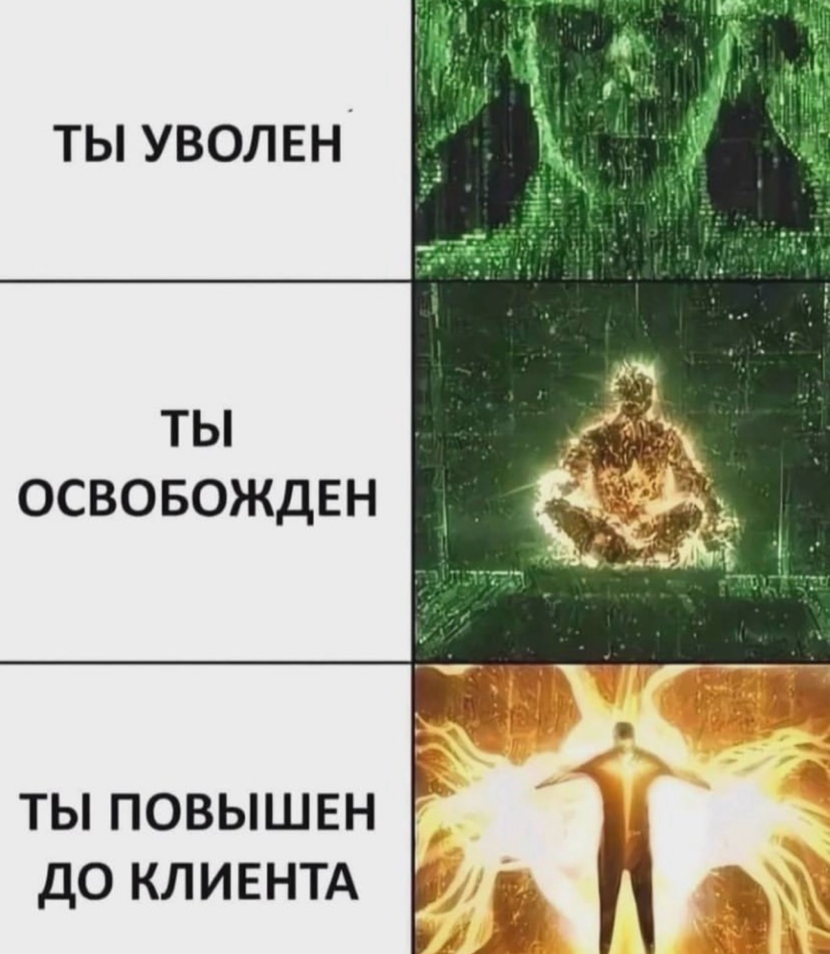 сегодня я дарю вам порцию мемов | Сетка — социальная сеть от hh.ru