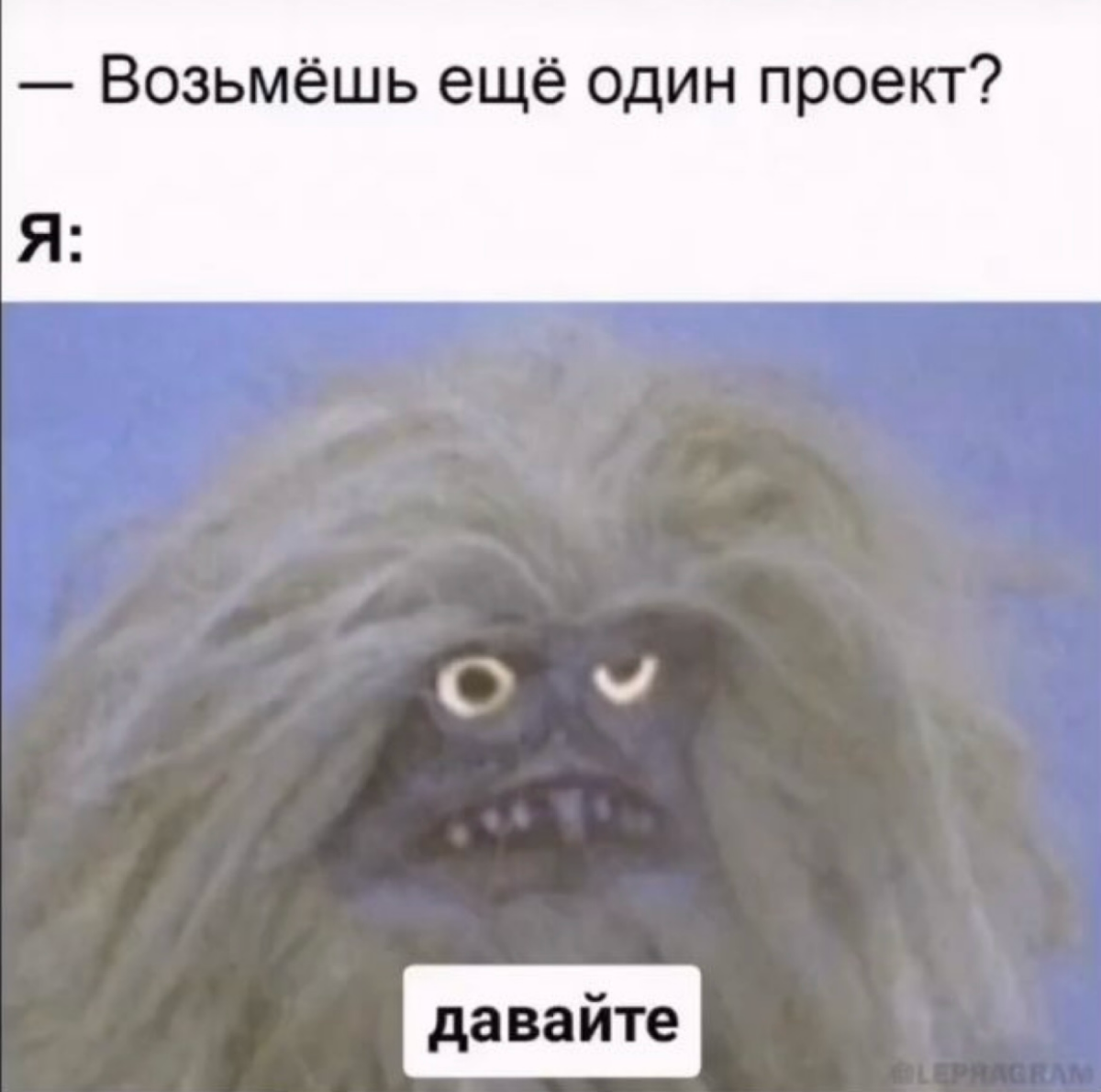 сегодня я дарю вам порцию мемов | Сетка — социальная сеть от hh.ru