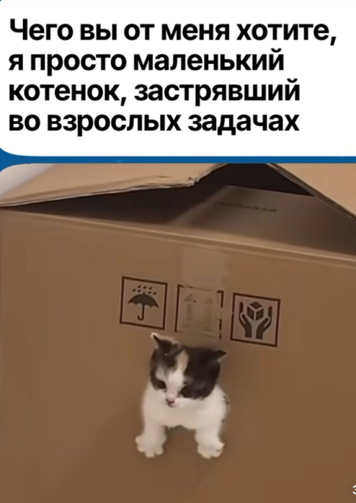 Кто еще застрял?🥲 | Сетка — социальная сеть от hh.ru