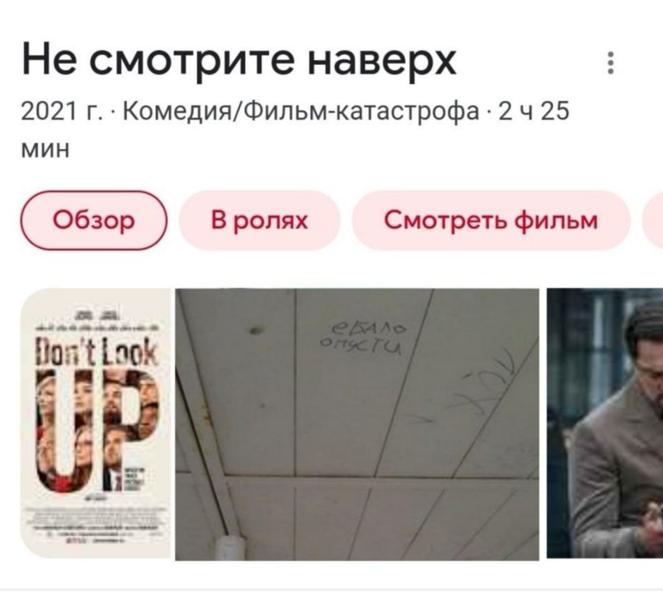 Сетка — социальная сеть от hh.ru