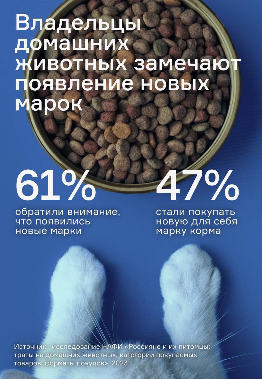 ⚡️ НРА: Результаты исследования потребительского поведения в категории «Товары для животных».
Источник: @nramedia
MEDIA RESEARCHERS | Сетка — социальная сеть от hh.ru