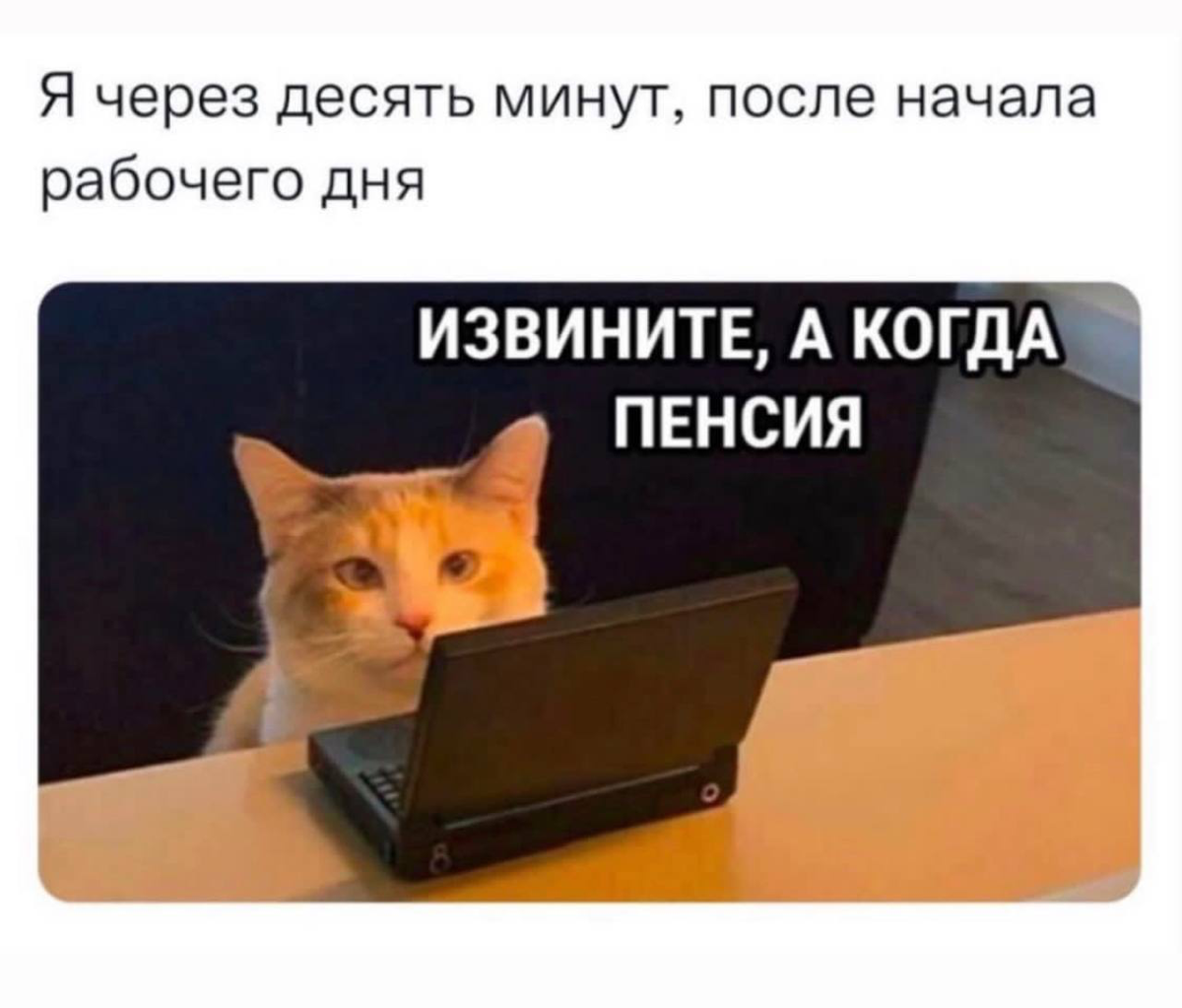 Всем привет!🦾 | Сетка — социальная сеть от hh.ru