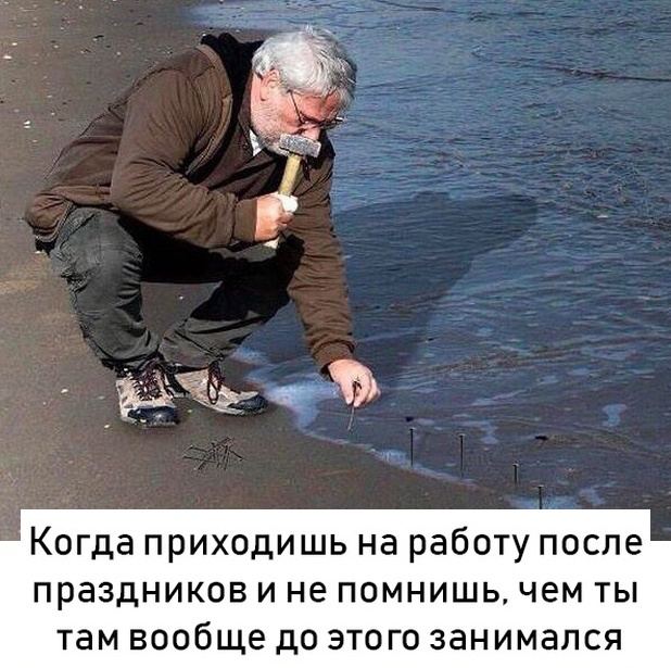 А вот и тот мем | Сетка — социальная сеть от hh.ru