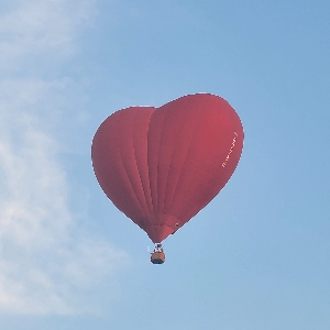 Алиса Александровна