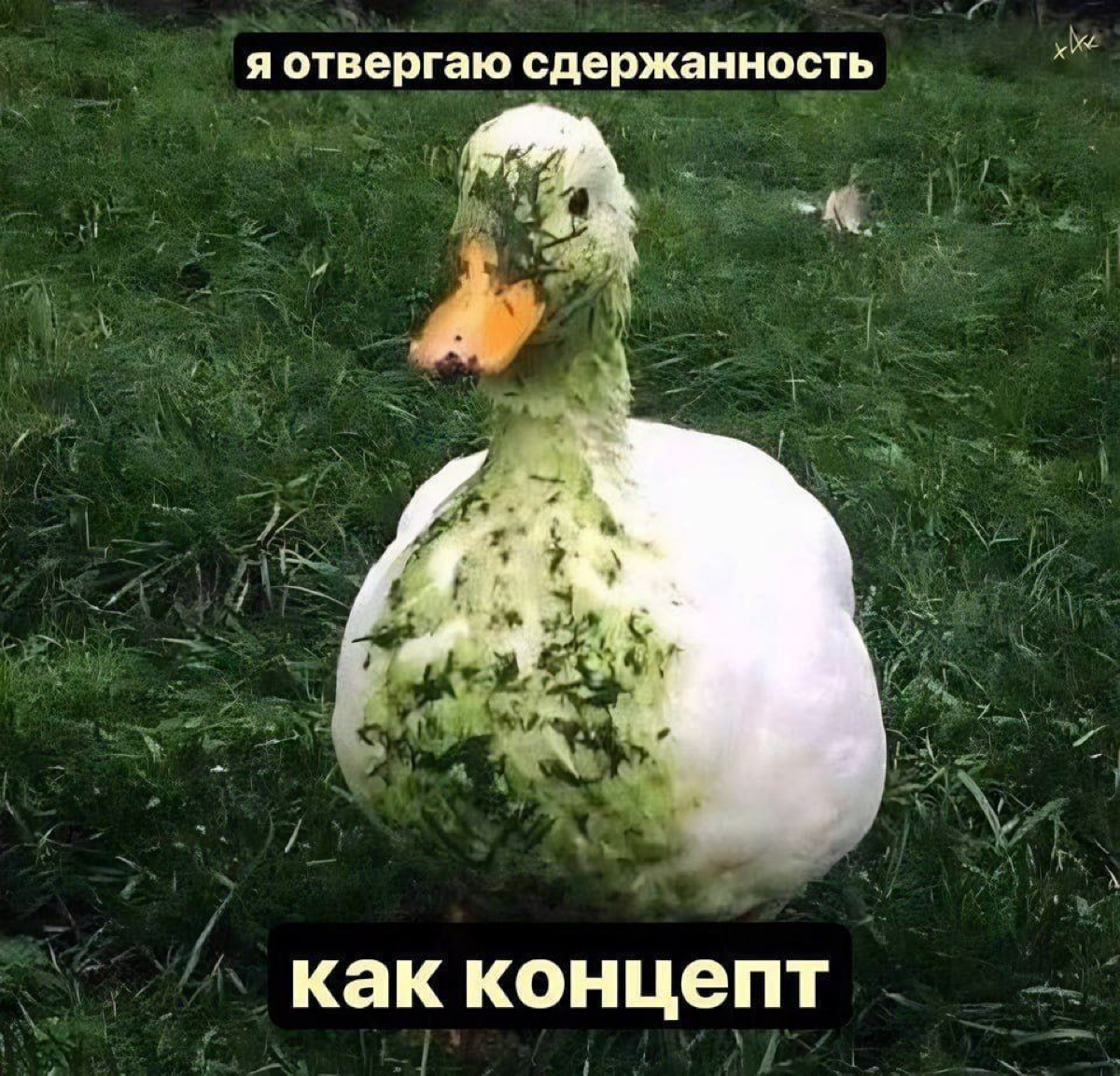 Что почитать: эстетика в бизнесе | Сетка — социальная сеть от hh.ru