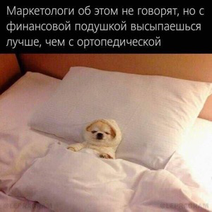 Владимир Иванов | Сетка — социальная сеть от hh.ru