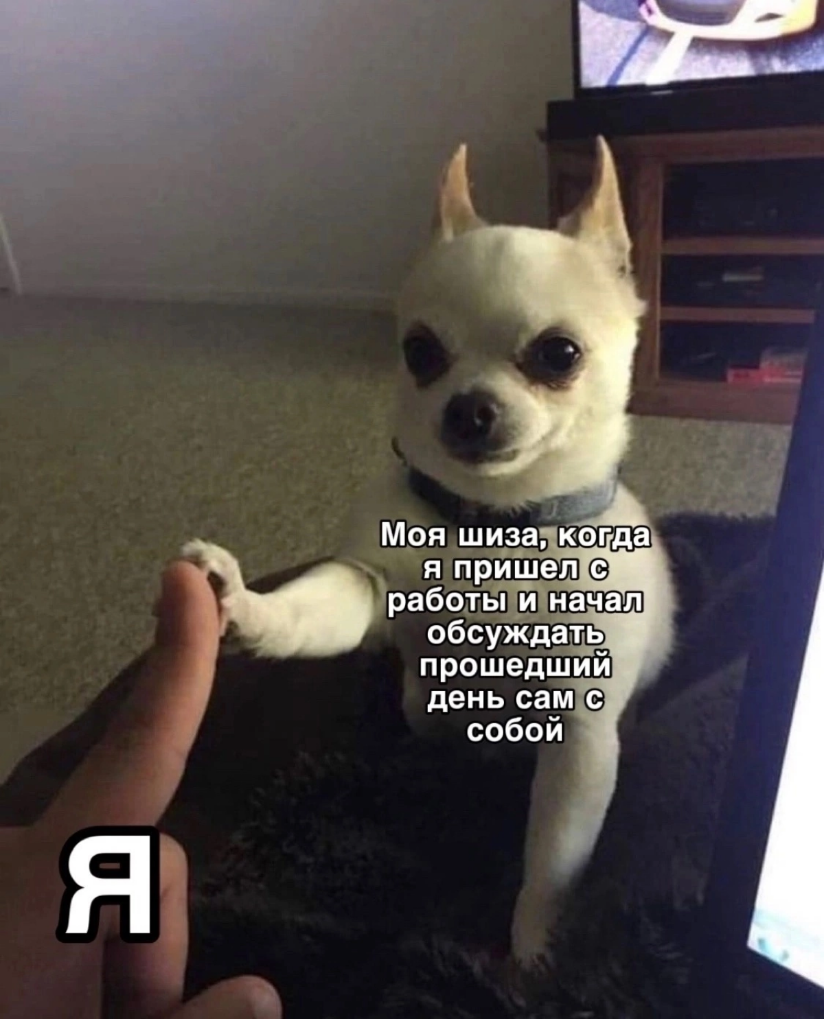 Сетка — социальная сеть от hh.ru