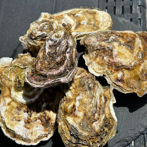 Вася Васин | Сетка — социальная сеть от hh.ru