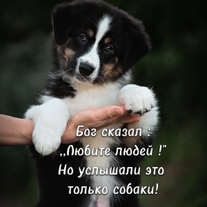 Аа Сс