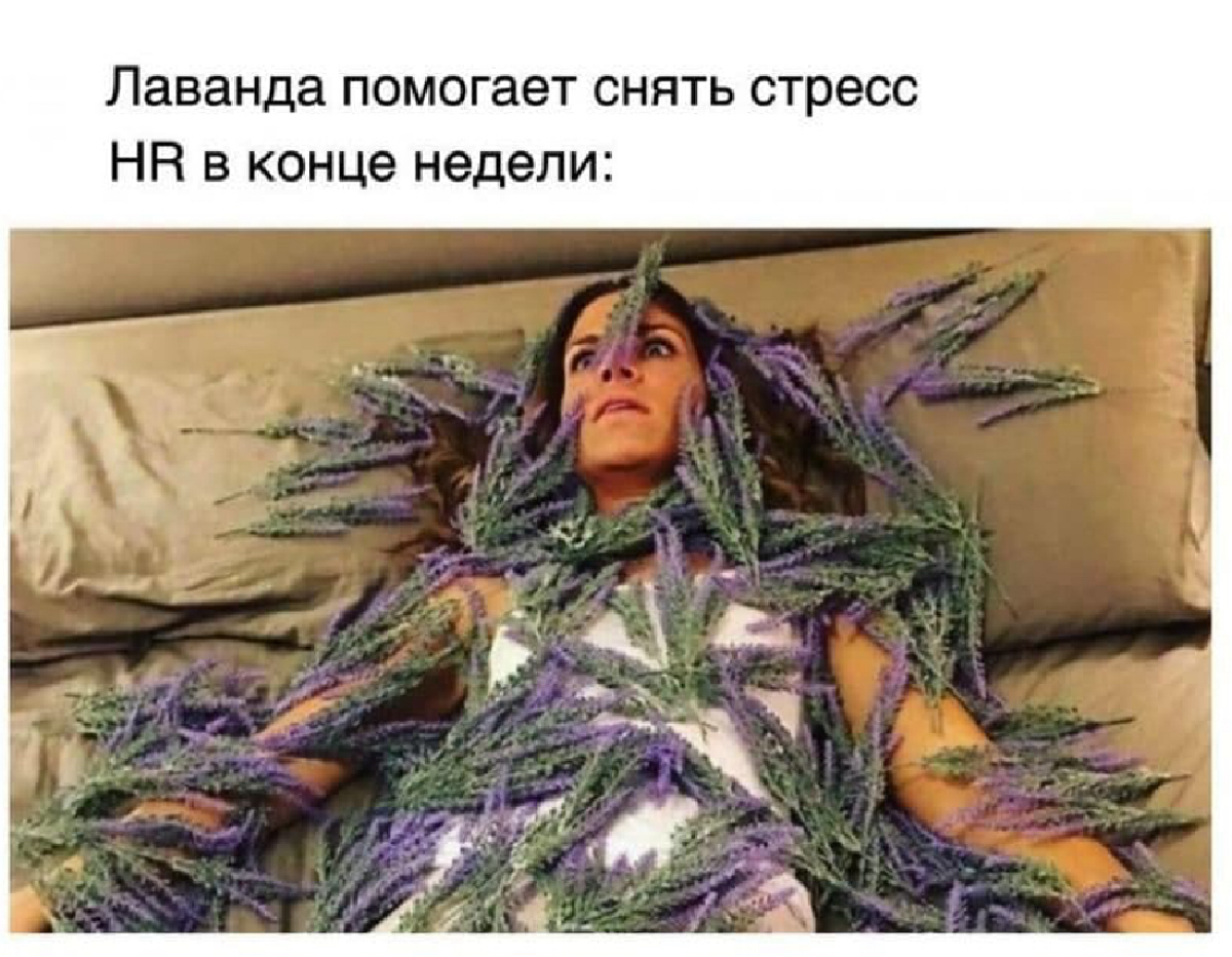 Всем привет! Меня зовут Варвара, и я HR-менеджер)
Мой путь начался с того, что я была студенткой, живущей на скромную стипендию в размере 5 тысяч рублей | Сетка — социальная сеть от hh.ru