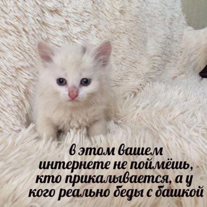 Решил писать 100 дней как, я изучаю программирование и у меня сегодня 
1/100 
У меня суббота из самых активных дней, прошло обучение по дебатам, английский | Сетка — социальная сеть от hh.ru