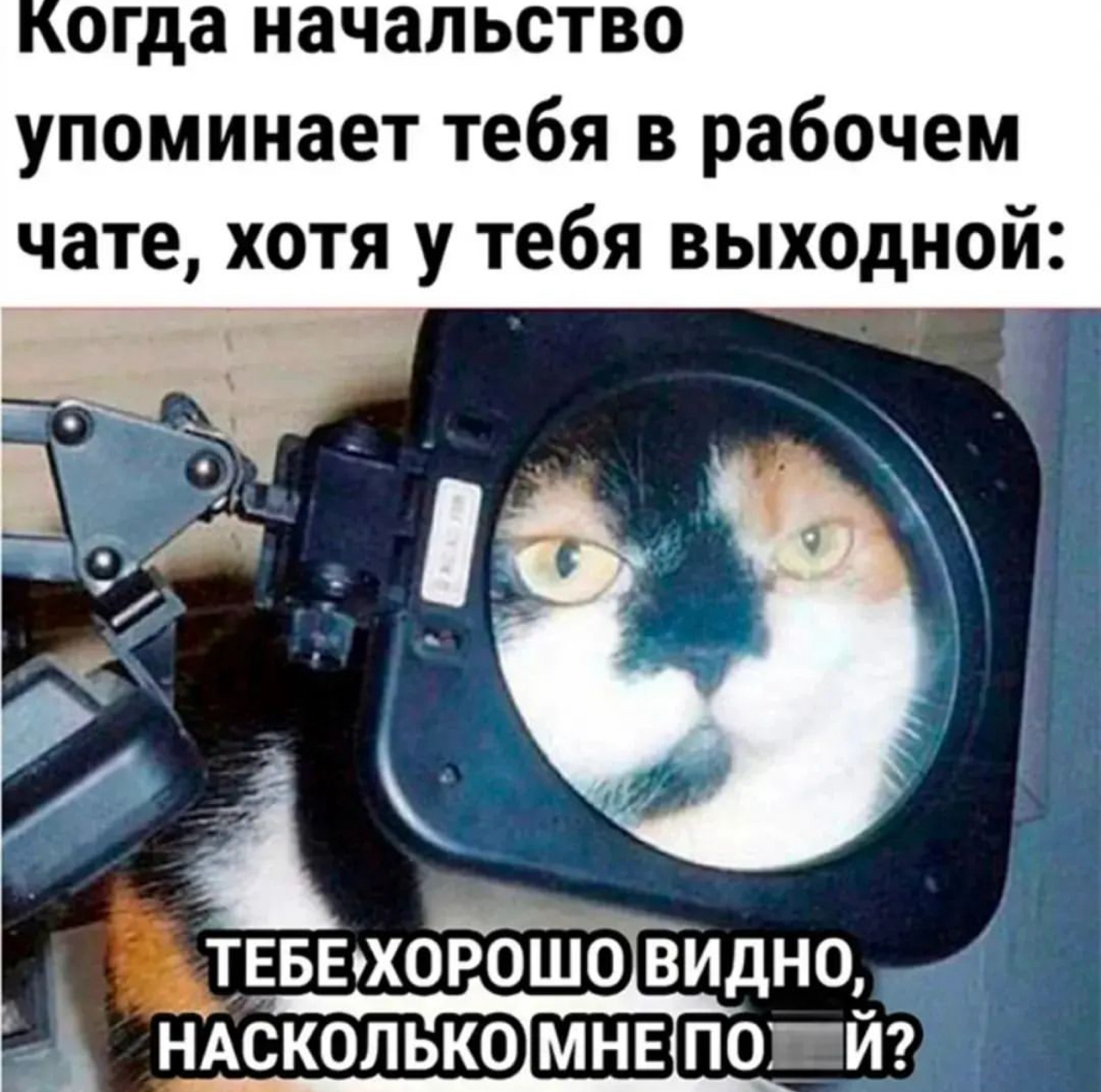 уровень ворклайф режима, к которому я стремлюсь | Сетка — социальная сеть от hh.ru