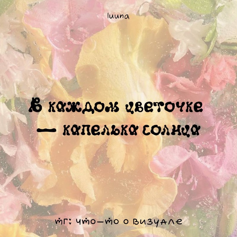Необычные шрифты❤️
Подборка с необычными и милыми шрифтами, которые могут пригодиться для создания интересных и запоминающихся визуалов
❤️Экспериментируйте с разными стилями и эффектами, чтобы найти т... | Сетка — социальная сеть от hh.ru