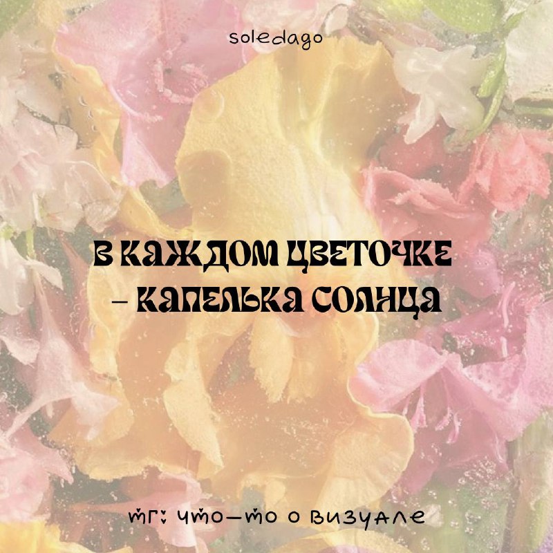 Необычные шрифты❤️
Подборка с необычными и милыми шрифтами, которые могут пригодиться для создания интересных и запоминающихся визуалов
❤️Экспериментируйте с разными стилями и эффектами, чтобы найти т... | Сетка — социальная сеть от hh.ru