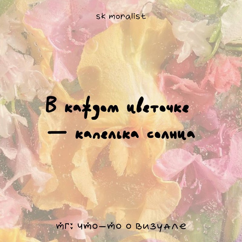 Необычные шрифты❤️
Подборка с необычными и милыми шрифтами, которые могут пригодиться для создания интересных и запоминающихся визуалов
❤️Экспериментируйте с разными стилями и эффектами, чтобы найти т... | Сетка — социальная сеть от hh.ru
