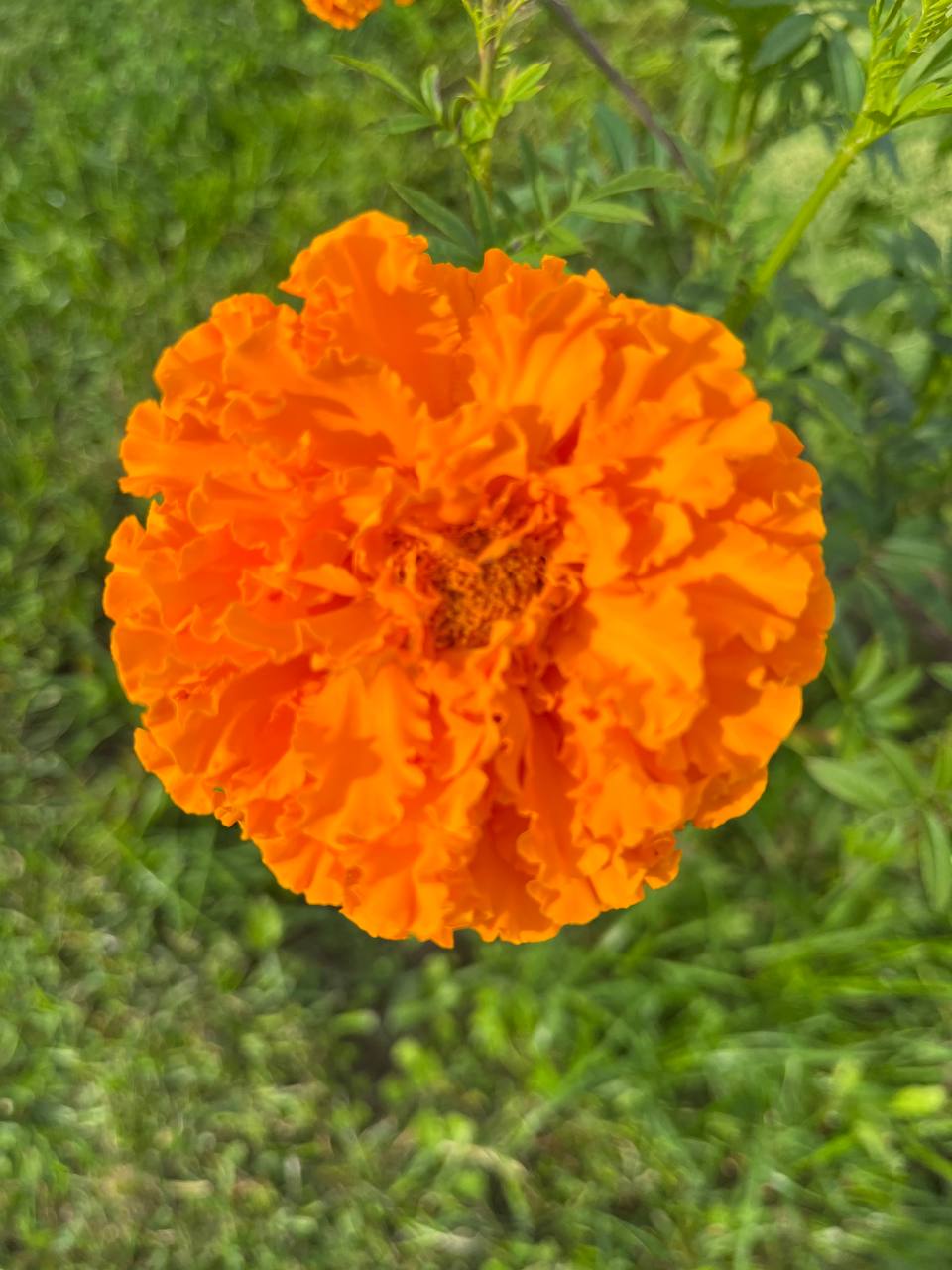 💋 📖 отзыв на роман «Завет воды» Абрахама Вергезе
Вергезе - реинкарнация Достоевского, не иначе ❣️ только что дочитала книгу - и «ком» в горле, такой финал - слёзы, слёзы и слёзы❣️ хотя, там всё законч... | Сетка — социальная сеть от hh.ru