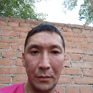 Валерий Николаев