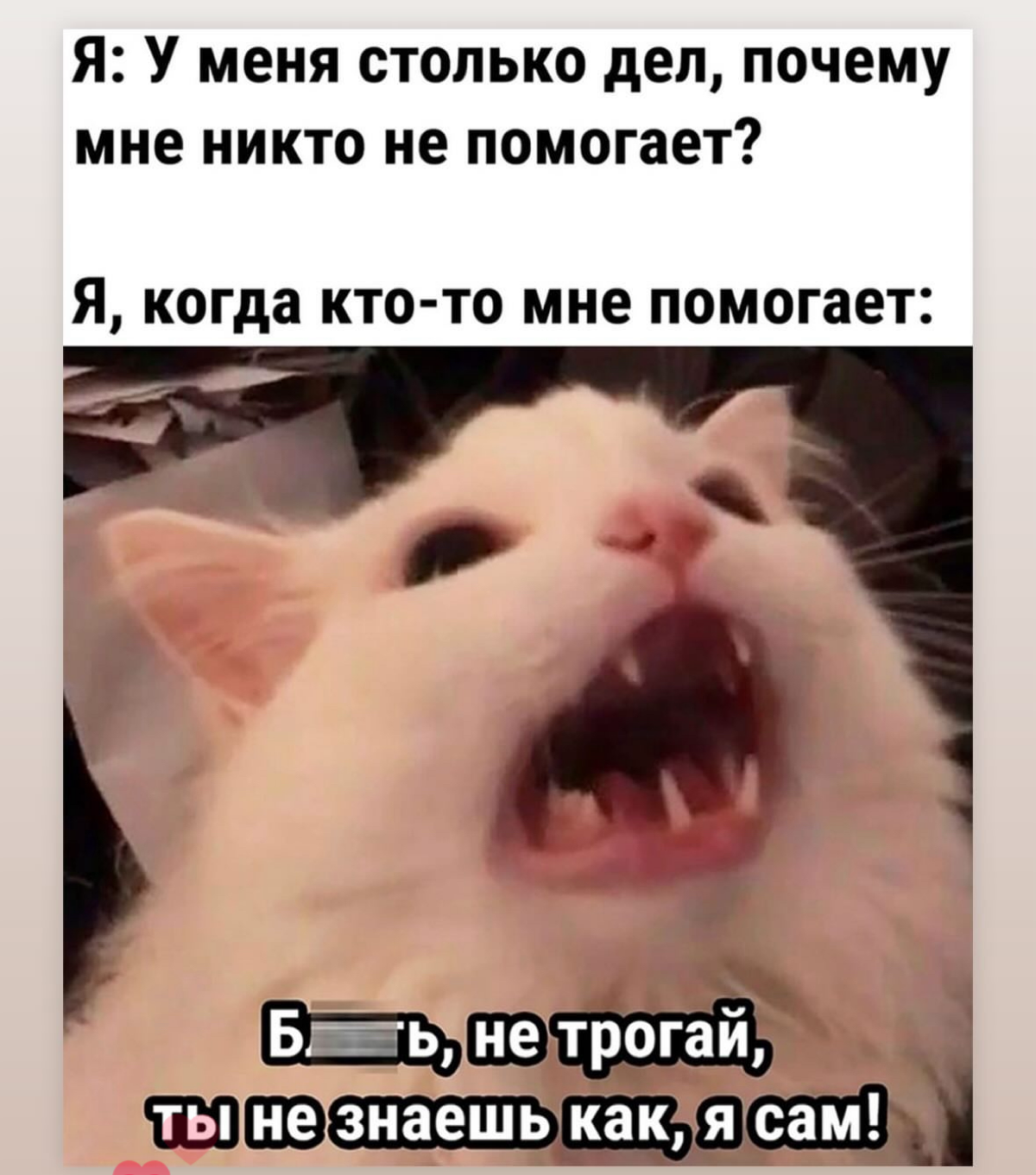 Меме 3 | Сетка — социальная сеть от hh.ru