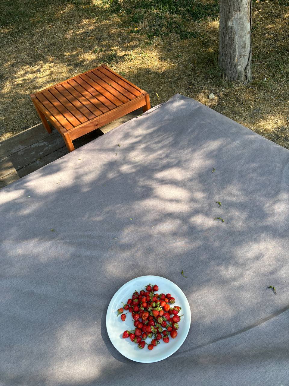 По работе отправились в Севастополь и пока есть возможность и время заряжаемся солнцем и невероятно медовыми фруктами и ягодами | Сетка — социальная сеть от hh.ru