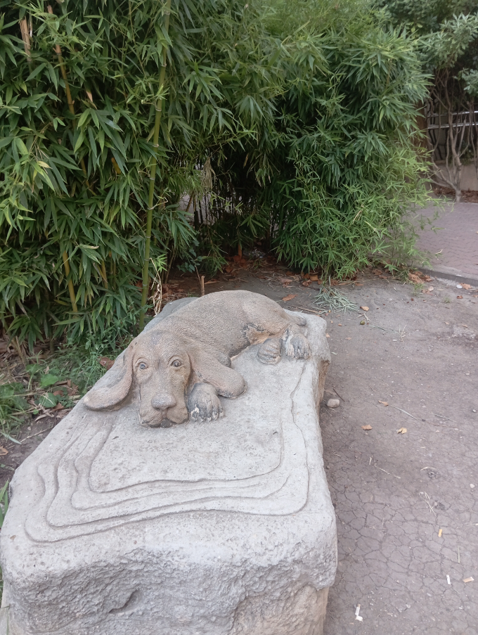 Так случилось, что у меня появилась возможность продемонстрировать как бывает сложно выйти из зоны комфорта, выйти из сложных отношений, страх остаться одной или одному | Сетка — социальная сеть от hh.ru