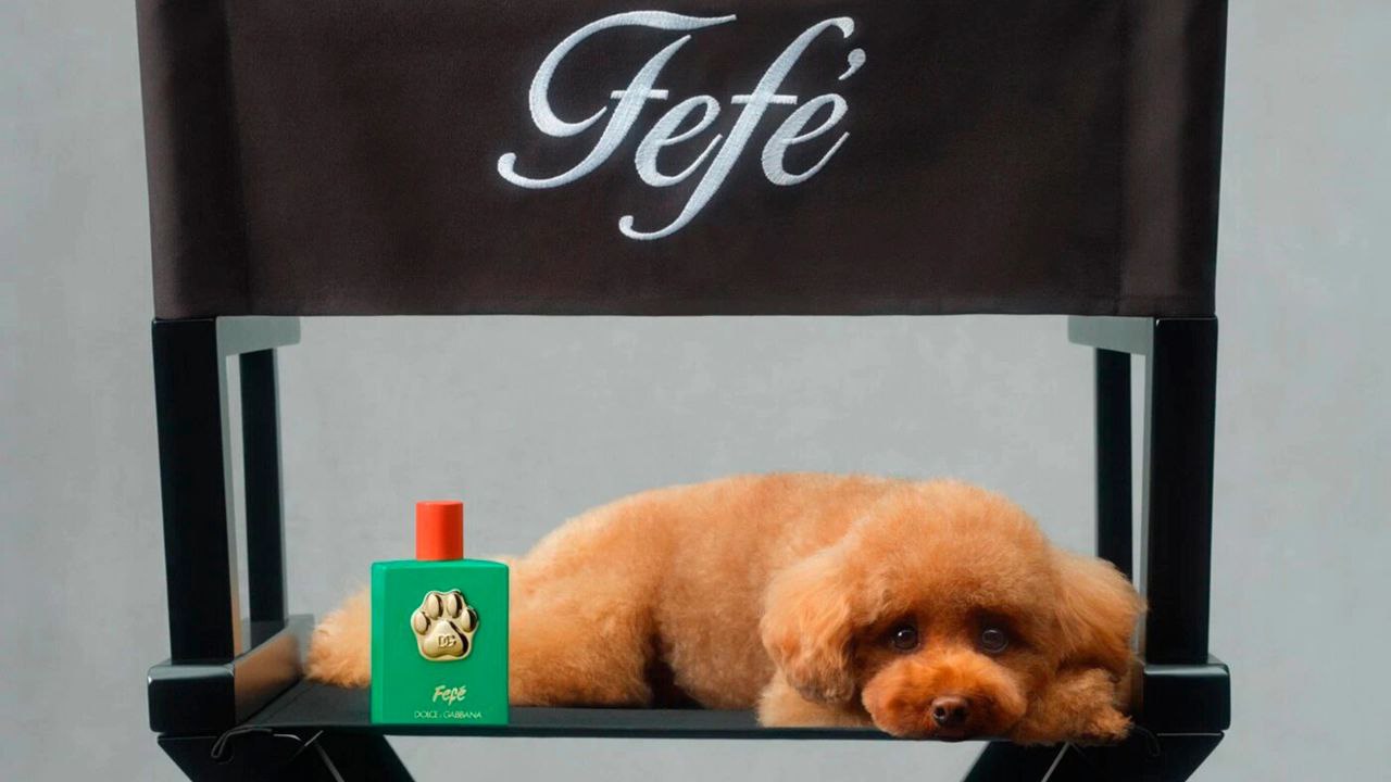 #фифважное
Сказ о том, что гении мыслят одинаково 😁
Итак, этот паблик называется "Функция и форма" в честь моей АНО, посвящённой дизайн-исследованиям и дизайн-проектированию (у неё день рождения 25 ию... | Сетка — социальная сеть от hh.ru