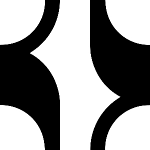 Project Management Black Book