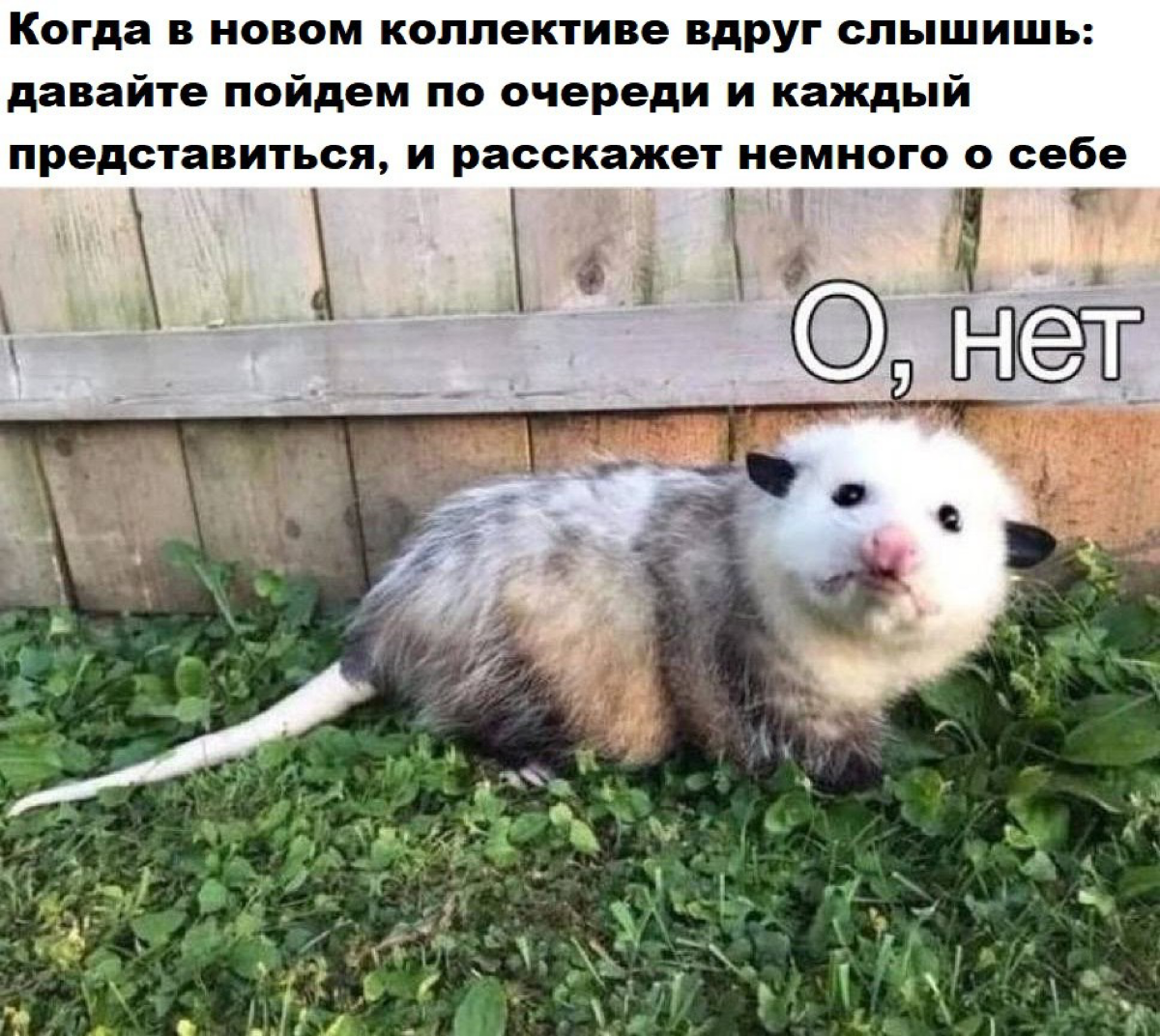 В одном диалоге тут обсуждали, что называть себя эксом, если ты уволился, ищешь новое место или взял перерыв в карьере, — чувствительная история. Появляются неудобные вопросы | Сетка — социальная сеть от hh.ru