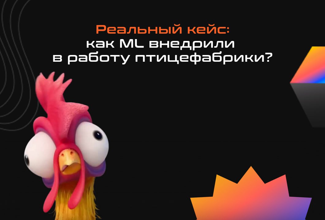Разбор ML-задачи: от гипотезы до замера результатов
Для примера возьмем кейс птицефабрики и команды Nord Clan. Да, «Птицефабрика Чамзинская» внедрила в свою работу ML | Сетка — социальная сеть от hh.ru