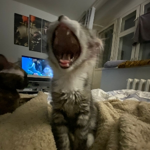 Ульяна Полонская