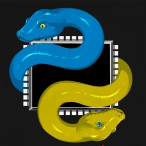 C/Python System Programming