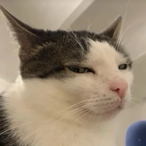 Георгий Датьев