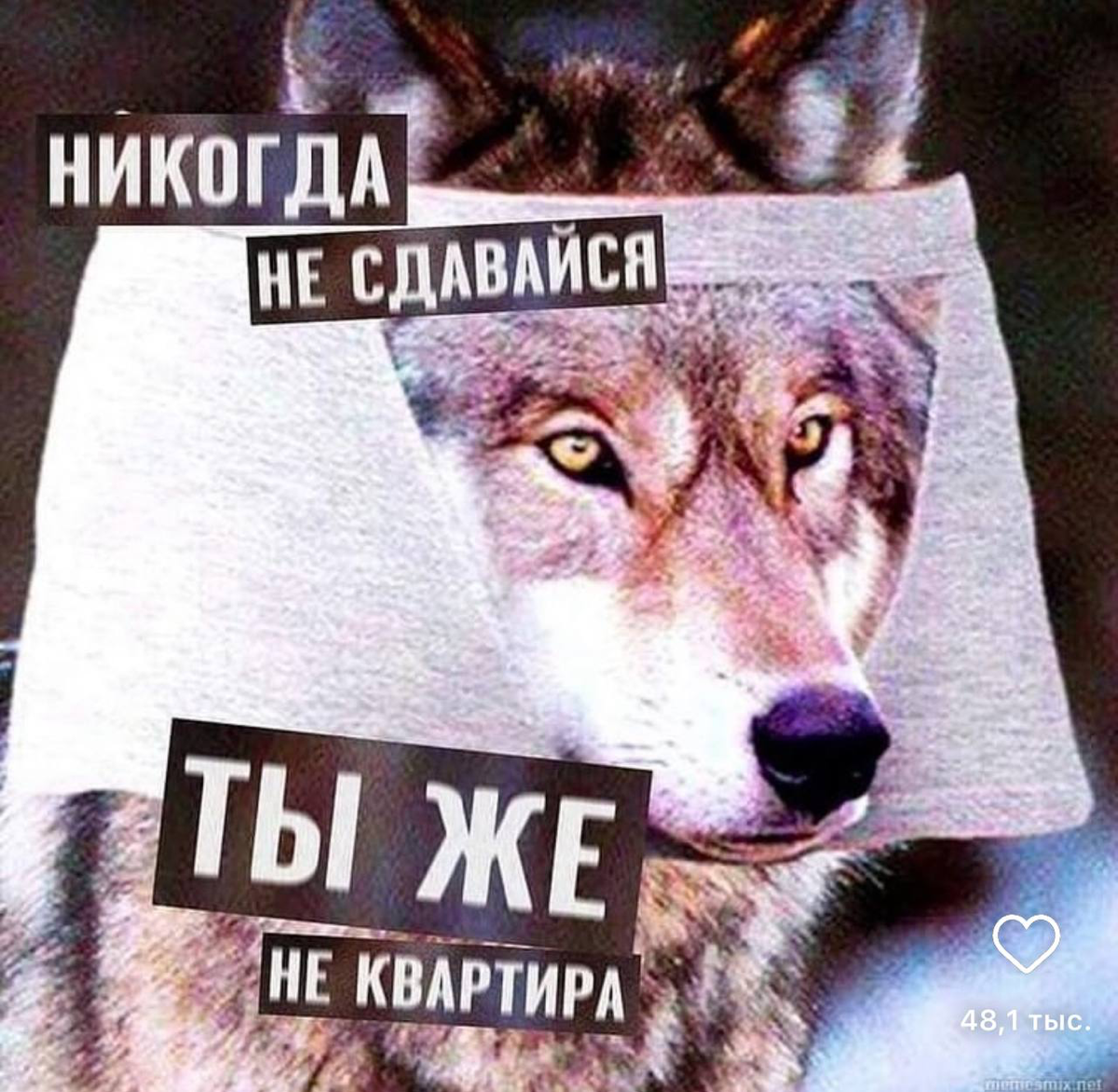 Ищешь вакансию на джуна в hh | Сетка — социальная сеть от hh.ru