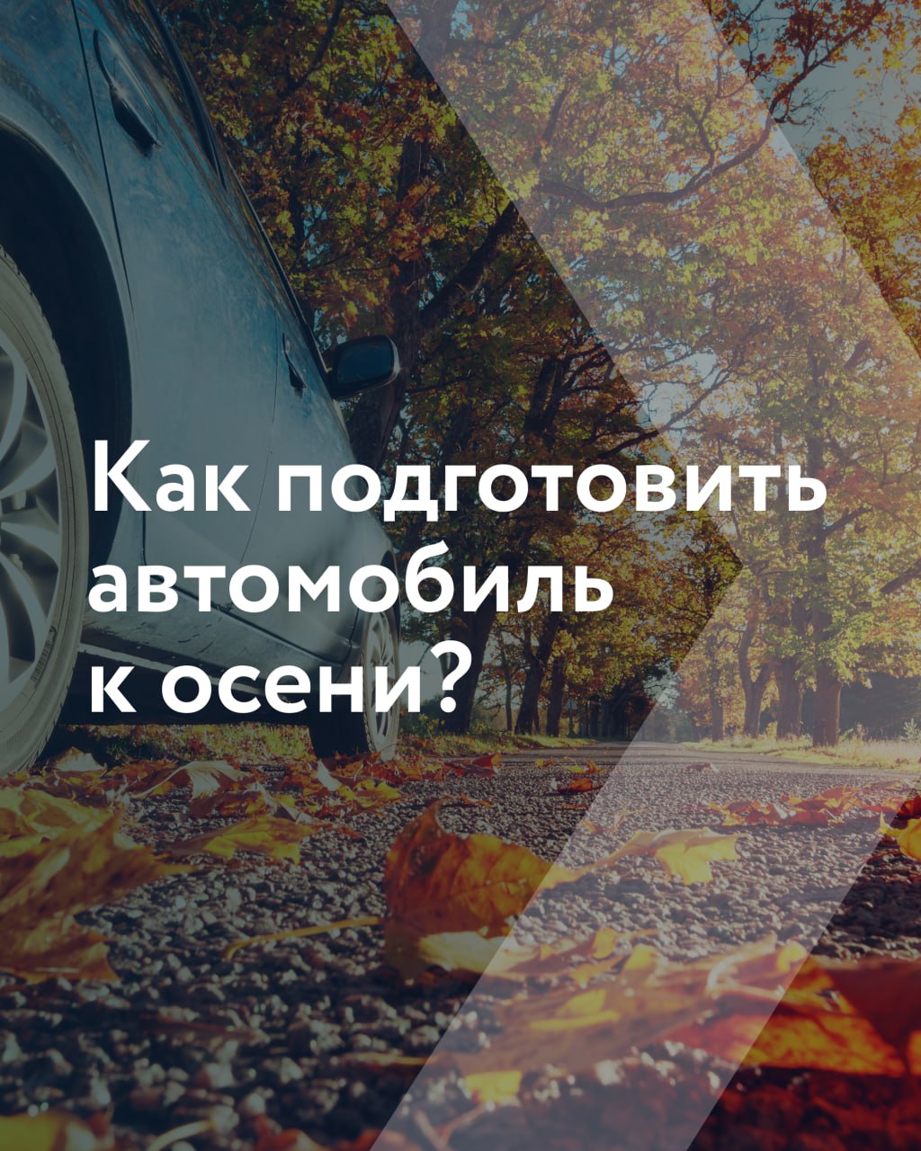 🚘До конца лета осталось совсем чуть-чуть, и уже не за горами сезон дождей, первые заморозки и другие атрибуты, за которые мы так любим осень (нет) | Сетка — социальная сеть от hh.ru