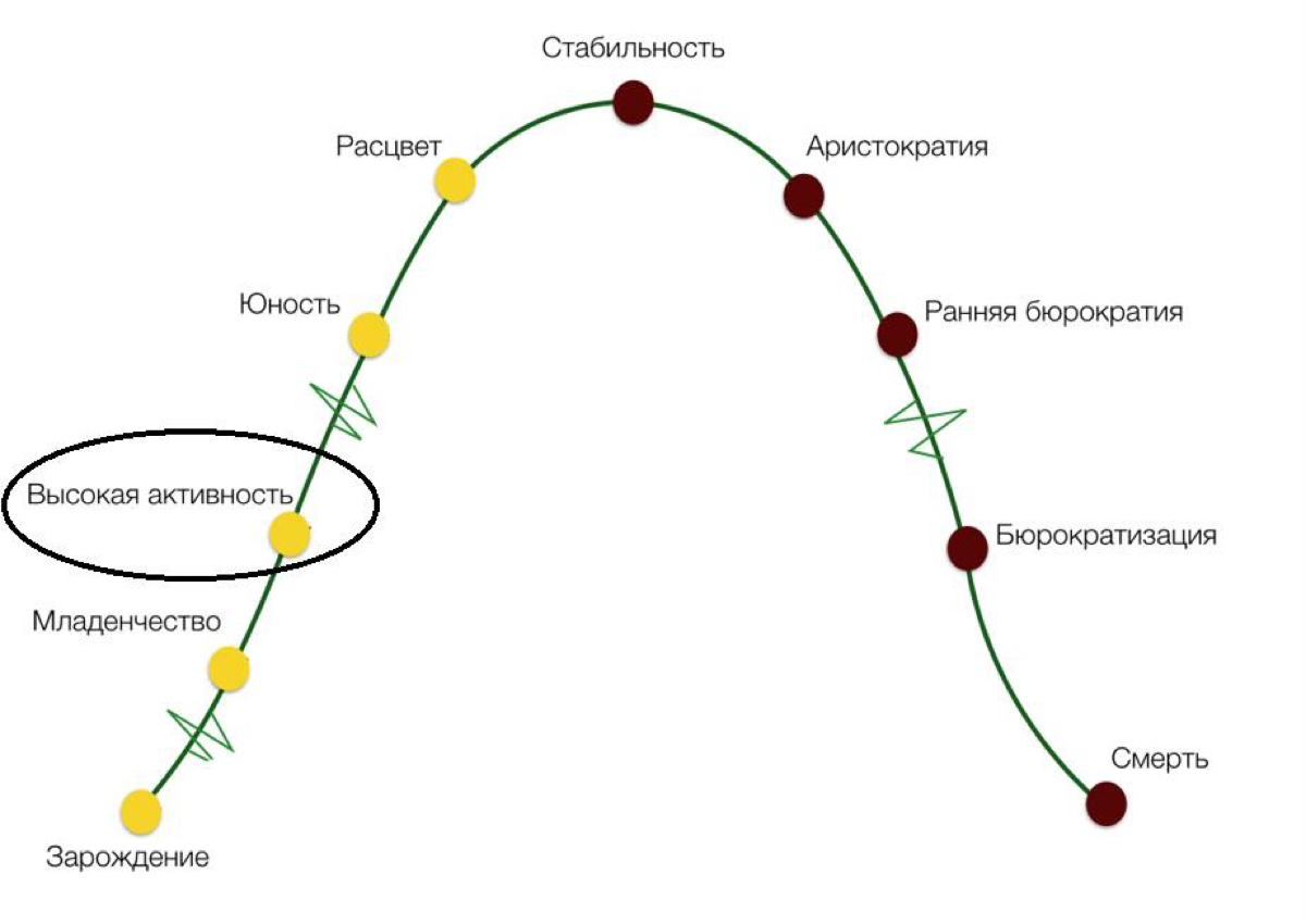✏️ Кривая Адизеса на практике | Сетка — социальная сеть от hh.ru