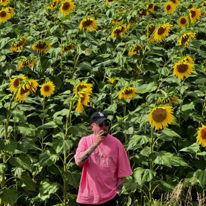 Александр Тарахов | Сетка — социальная сеть от hh.ru