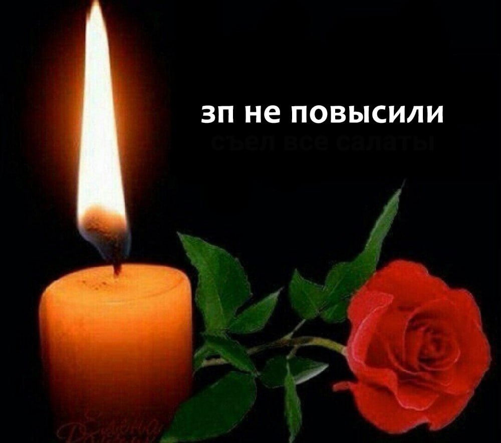 ➡️ отправь в телеге мем коллеге | Сетка — социальная сеть от hh.ru