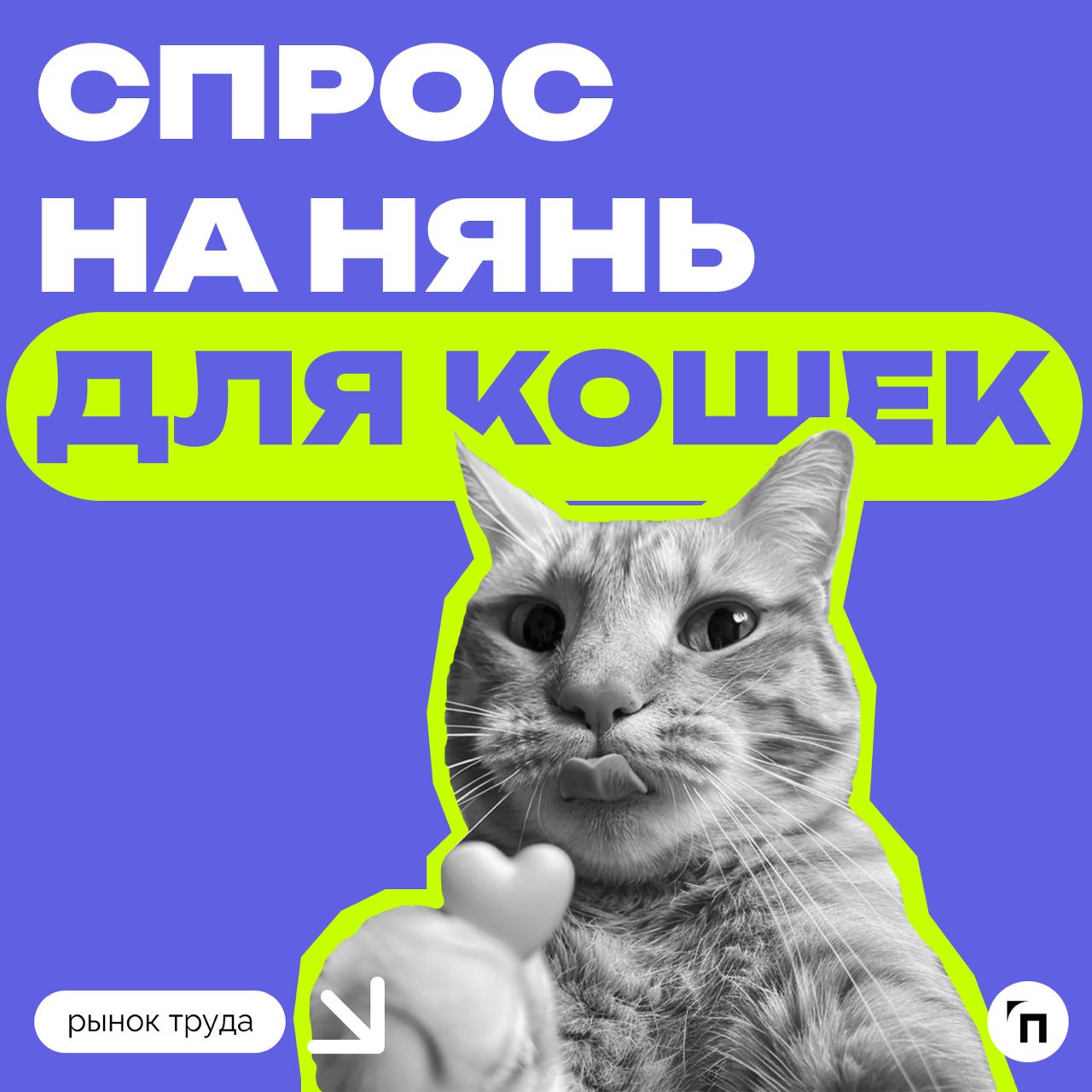 📊 В России в два раза вырос спрос на нянь для кошек
Эксперты hh | Сетка — социальная сеть от hh.ru