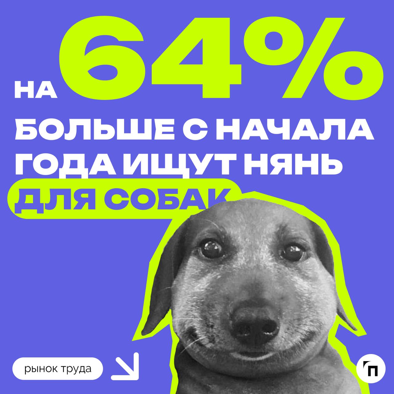 📊 В России в два раза вырос спрос на нянь для кошек
Эксперты hh | Сетка — социальная сеть от hh.ru