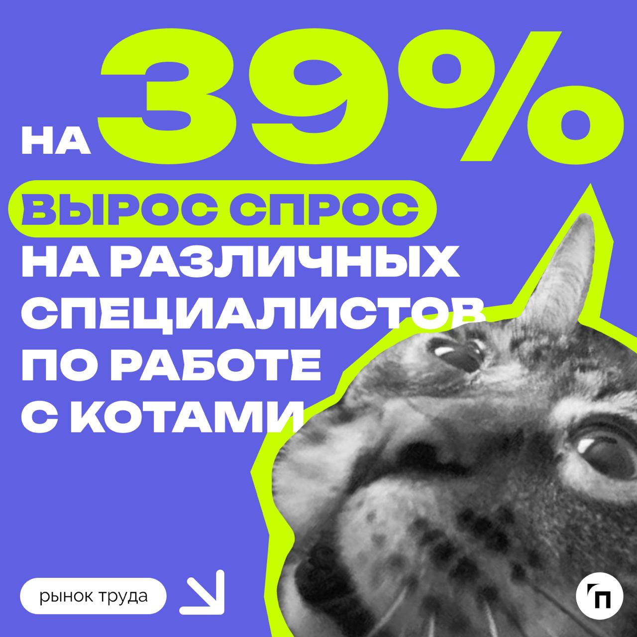 📊 В России в два раза вырос спрос на нянь для кошек
Эксперты hh | Сетка — социальная сеть от hh.ru