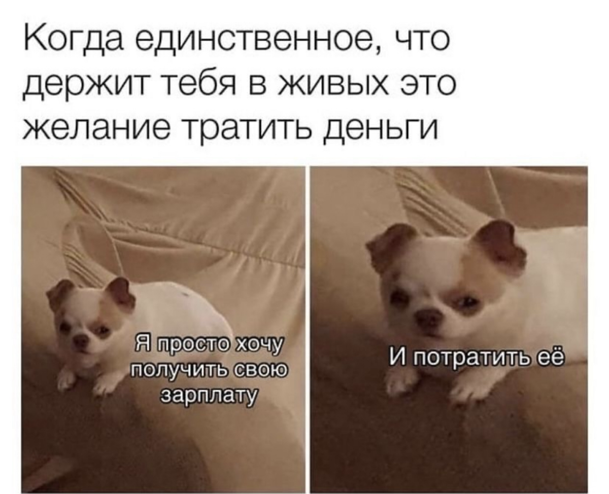 И на работе | Сетка — социальная сеть от hh.ru