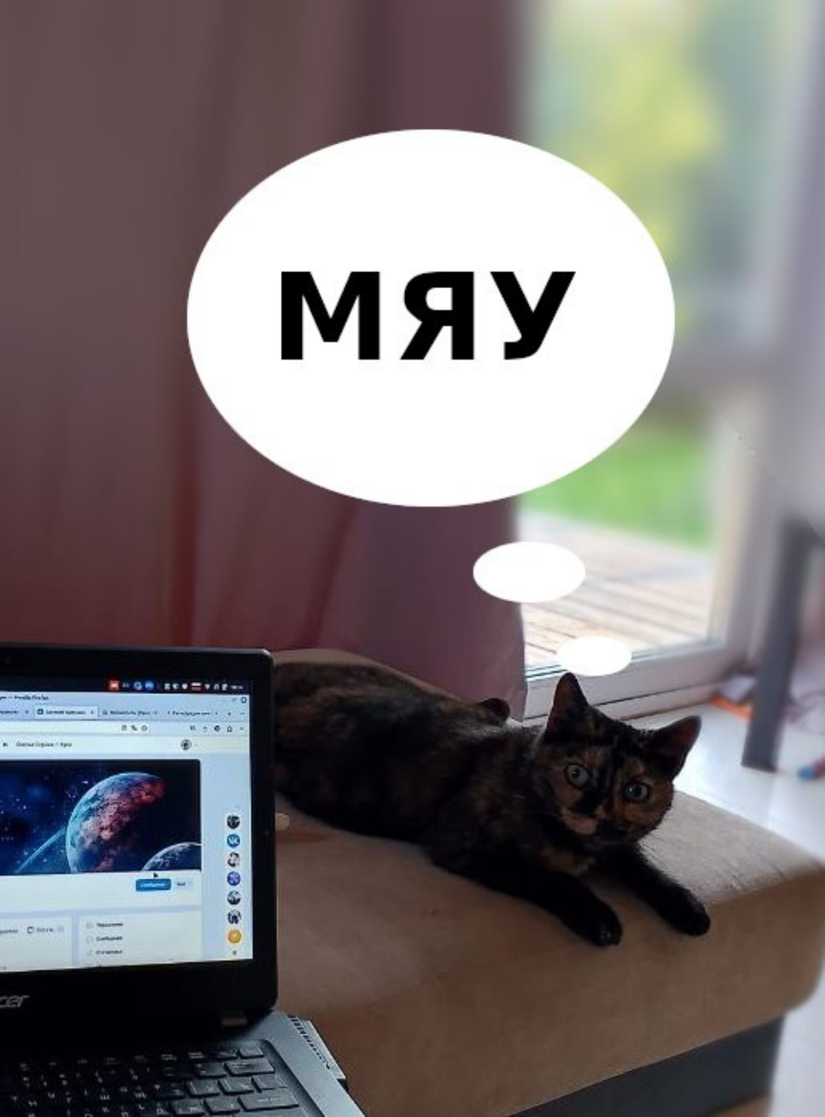 Всем привет! А сегодня пост из серии “Котики в IT” 😻
Моя кошка - Лисса.
Интересуется, когда там уже заказы пойдут? 😼
#котики #it #вебапп | Сетка — социальная сеть от hh.ru