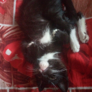 Настя Воейкова | Сетка — социальная сеть от hh.ru