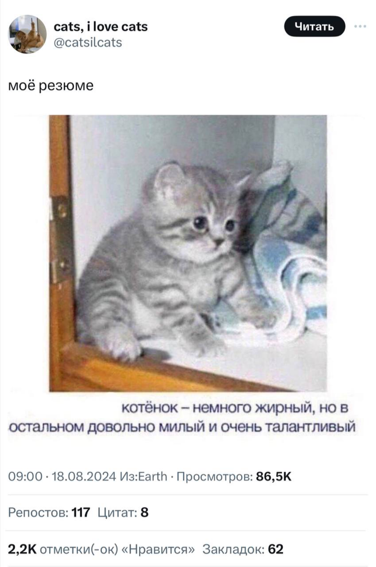 Так эйчар видит джуна | Сетка — социальная сеть от hh.ru