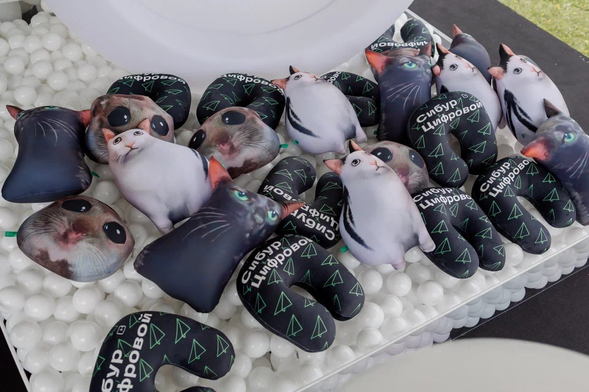 Потихоньку начинает появляться контент с ИТ-пикника. 
Давайте взглянем на событие глазами команды Сибур, которые впервые участвовали на пикнике и сразу покорили всех своим маскотом-Ино Том и мерчом | Сетка — социальная сеть от hh.ru