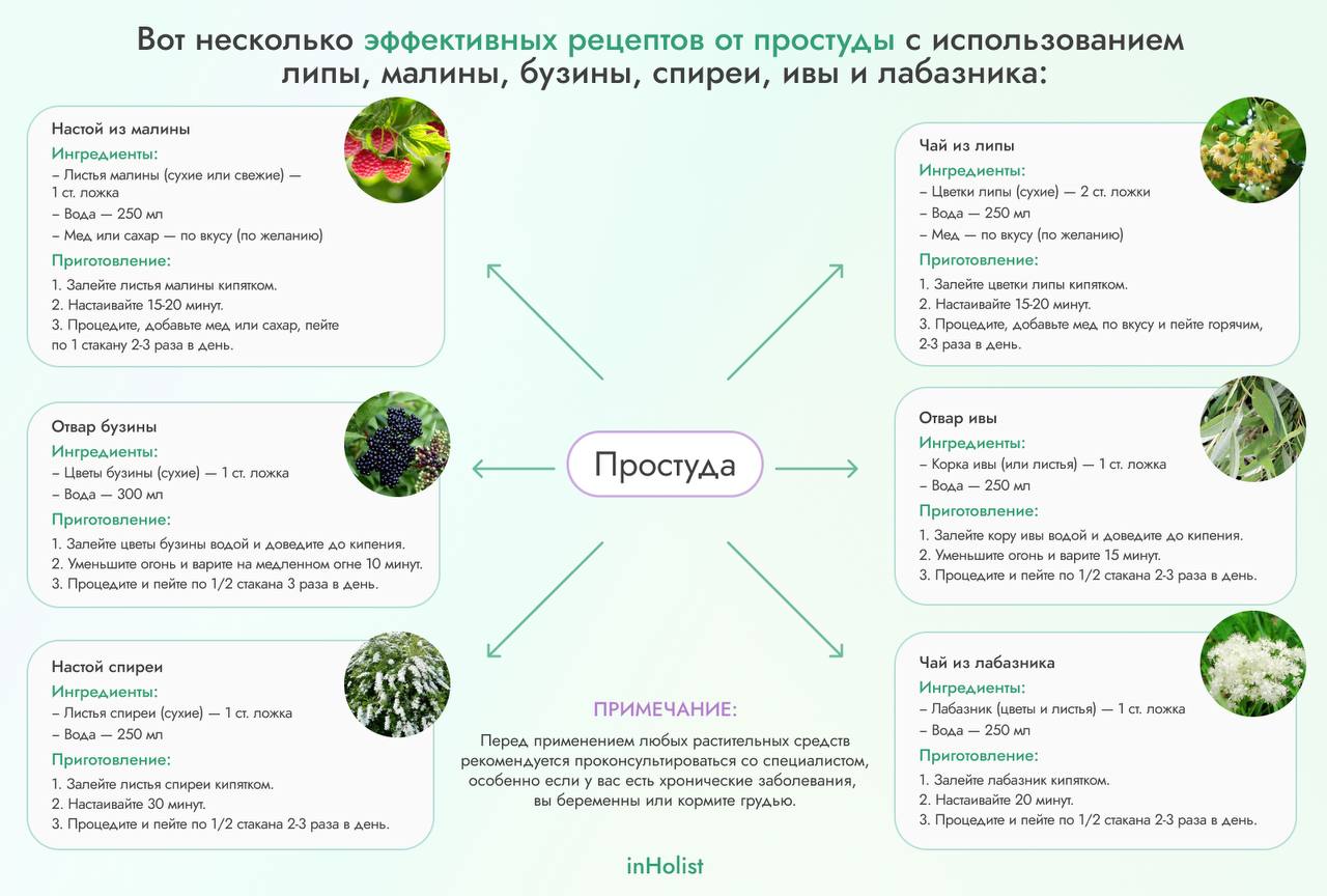 Рецепты с травами при простуде | Сетка — социальная сеть от hh.ru